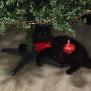 Meet your Posher, Flower